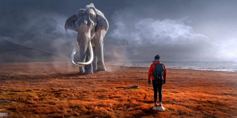 Canva - Digital Composition Of Man Near A Mammoth